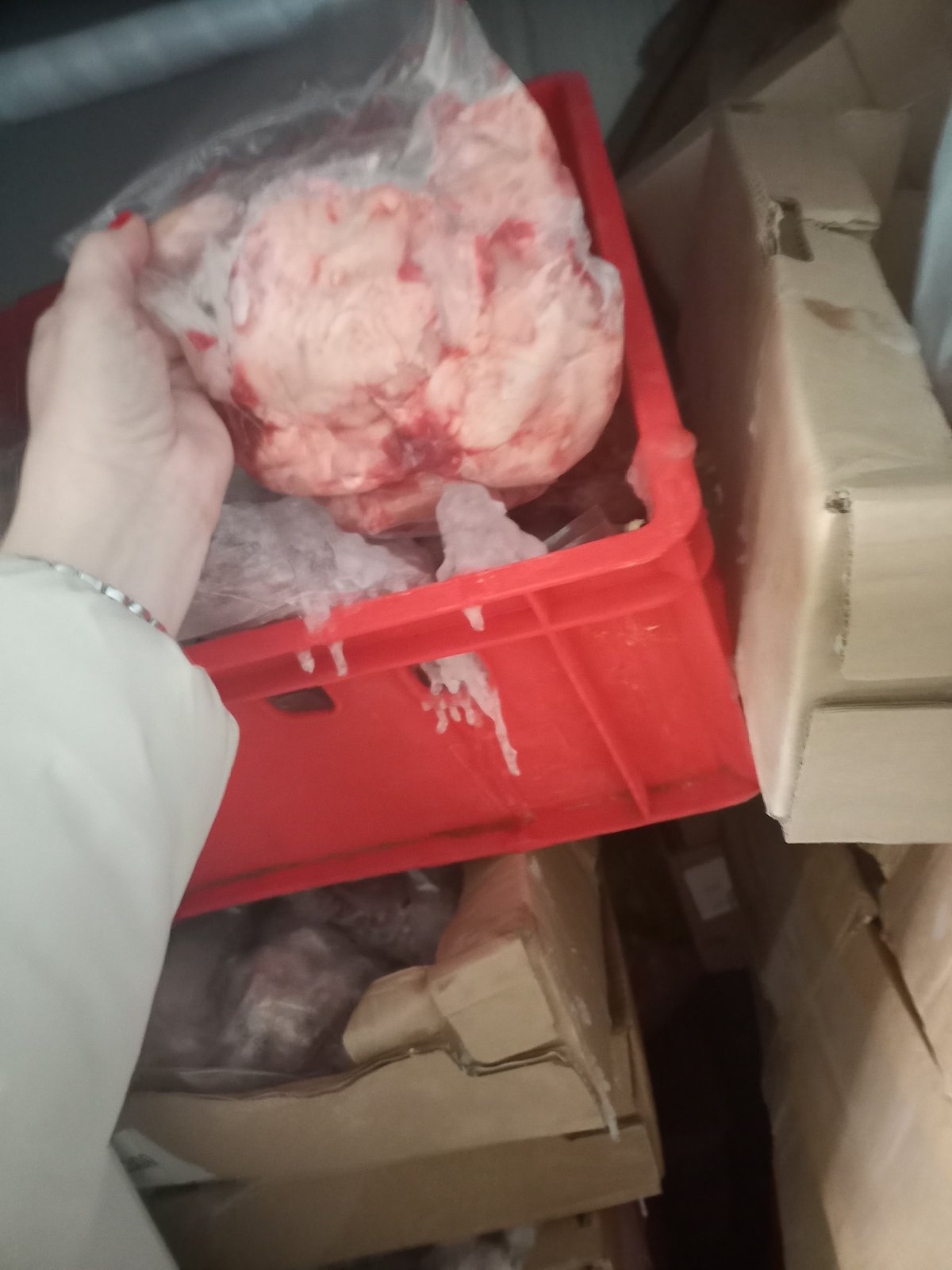 Πειραιάς, Κατάσχεση, ακατάλληλα κρέατα