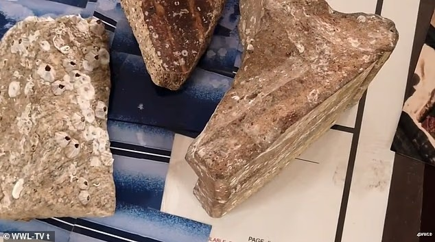 Για σχεδόν πέντε δεκαετίες, έχει καταγράψει υποβρύχιες εικόνες σόναρ που πιστεύει ότι αποκαλύπτουν τα απομεινάρια μεγάλων κατασκευών. Έχει επίσης συλλέξει κομμάτια γρανίτη, τα οποία θεωρεί ότι κάποτε αποτελούσαν μέρος της τώρα βυθισμένης πόλης. Φωτογραφία: Dailymail 