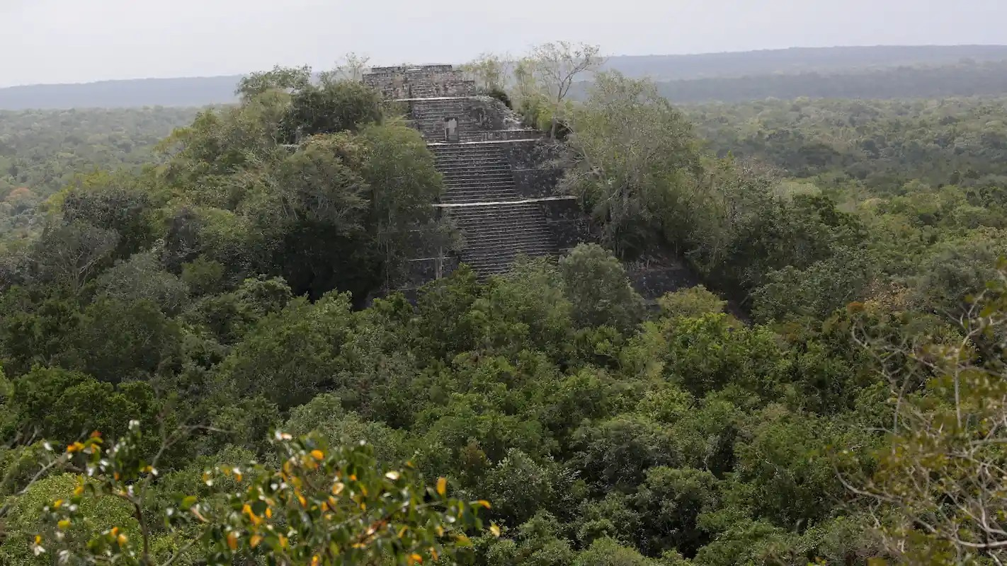 Τοποθεσία του εγκιβωτισμένου συγκροτήματος 31 στην Κοτνά. Πηγή: Ivan Šprajc, 2026