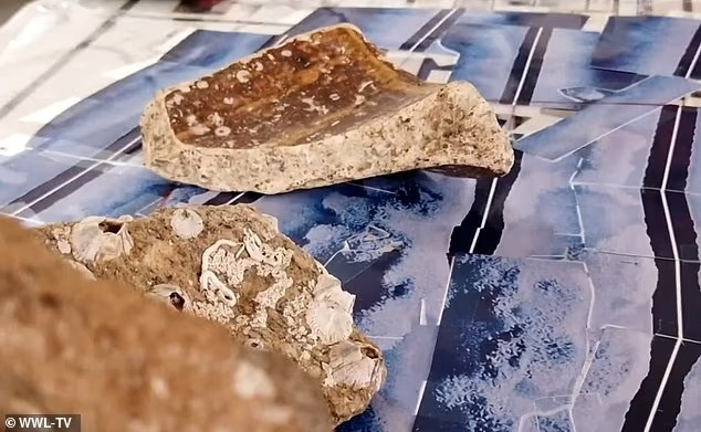 Ο Gelé έχει χρηματοδοτήσει προσωπικά και διεξαγάγει περισσότερες από 40 υποβρύχιες ερευνητικές αποστολές στην περιοχή από το 1974. Στην εικόνα διακρίνονται κομμάτια γρανίτη που ανέσυρε από τα νερά. Φωτογραφία: Dailymail 