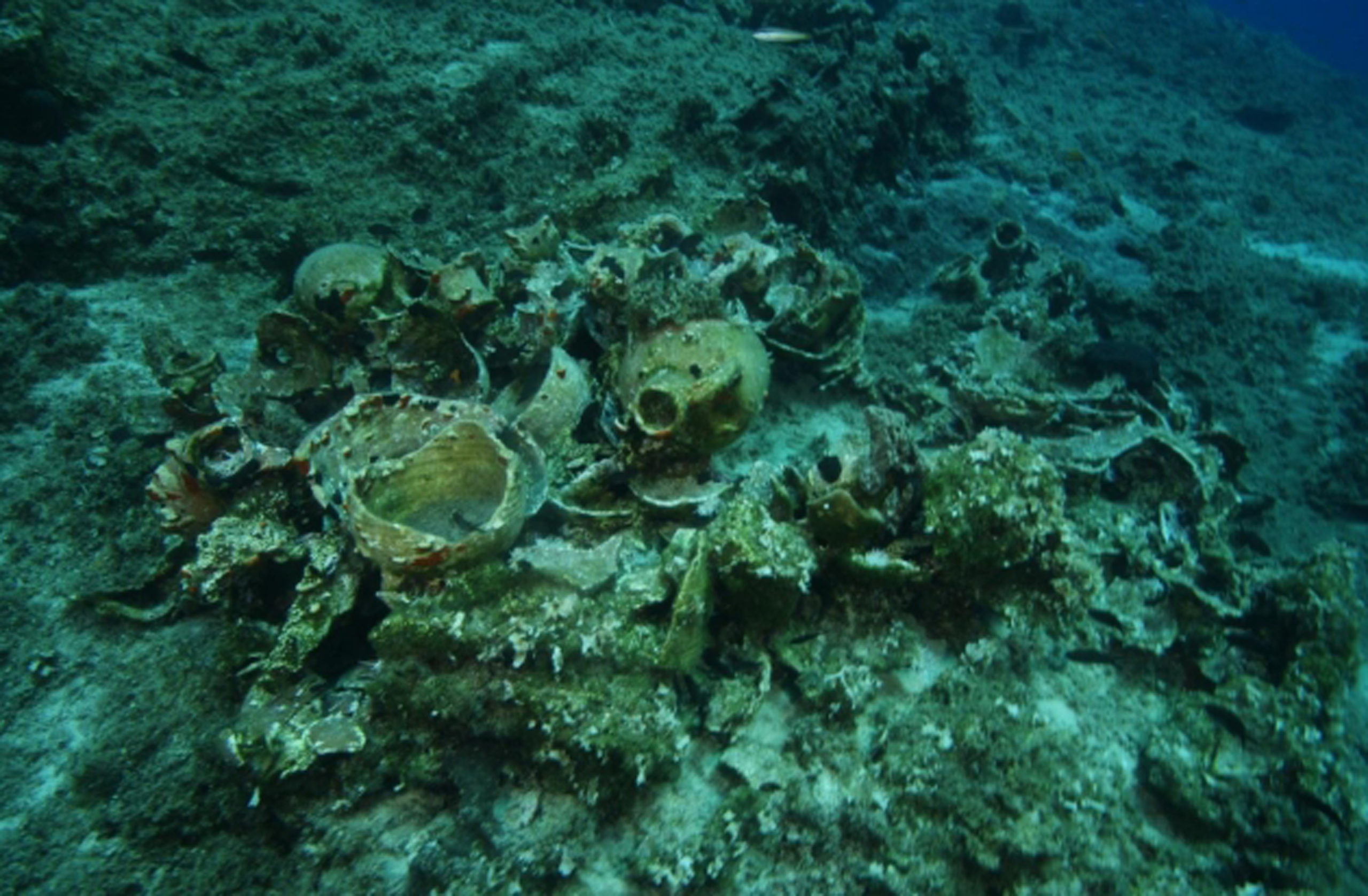 Υπουργείο Πολιτισμού, ενάλιοι αρχαιολογικοί χώροι