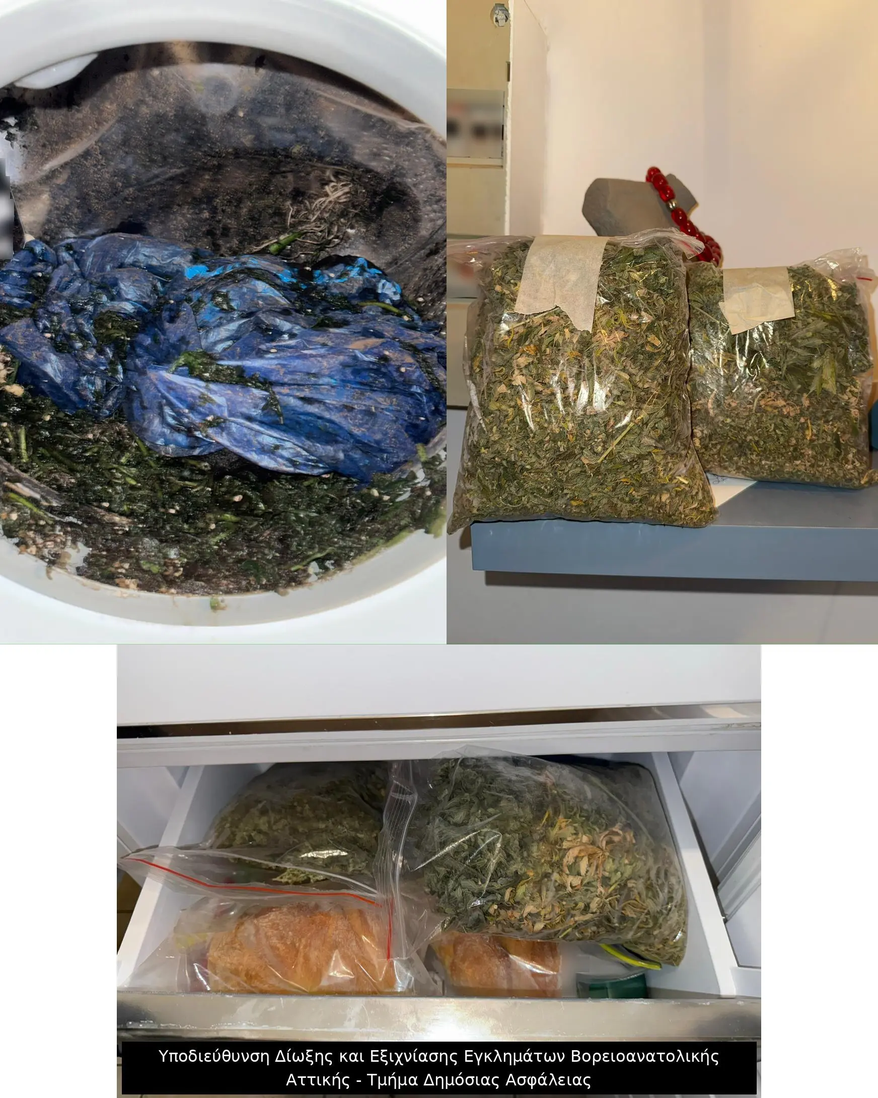 υρήματα Ελληνικής Αστυνομίας, Εγκληματική οργάνωση