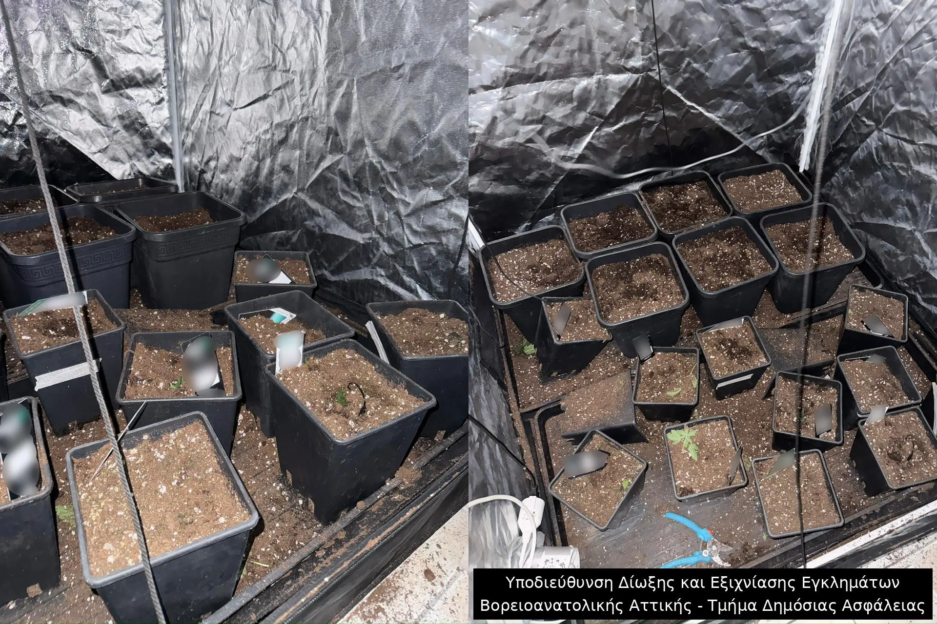 υρήματα Ελληνικής Αστυνομίας, Εγκληματική οργάνωση