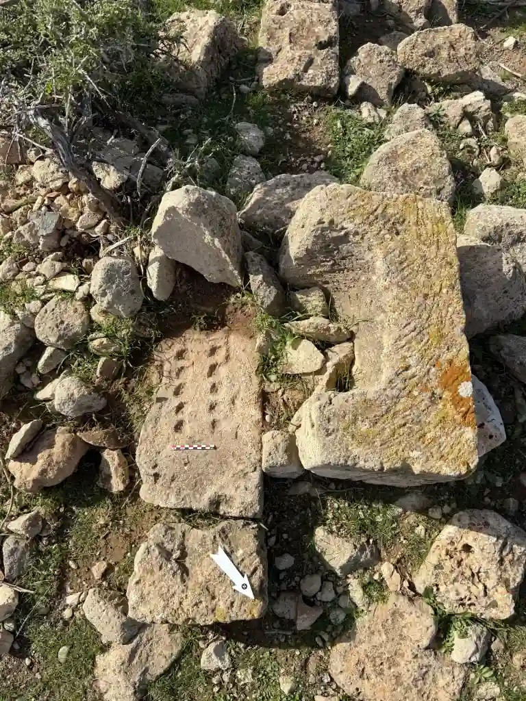 Μια πλάκα λαξευμένη σε λίθινο όγκο που βρέθηκε στο ανατολικό τμήμα της πόλης. Φωτογραφία: Zofia Kowarska 