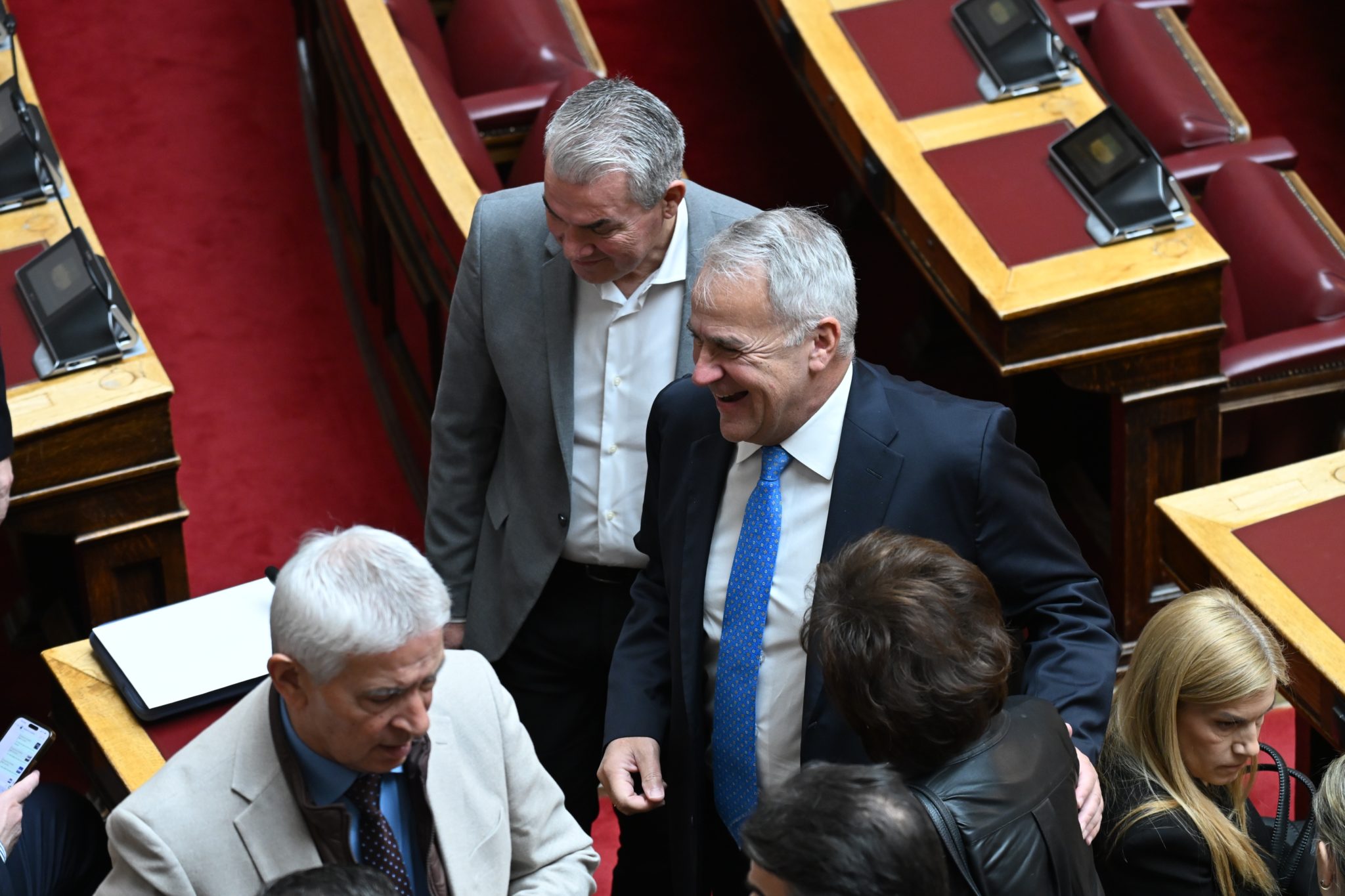 Βορίδης, Βουλή