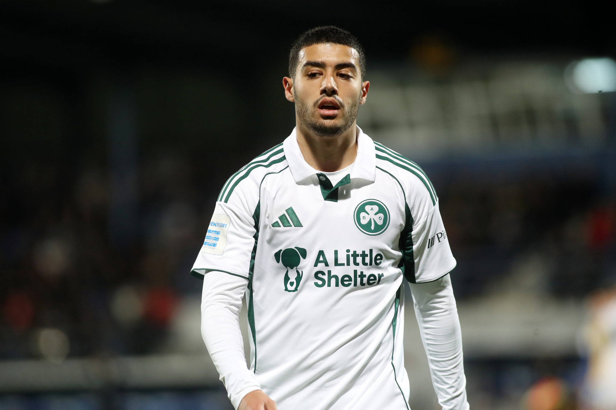 Παναθηναϊκός, Ζαρουρί