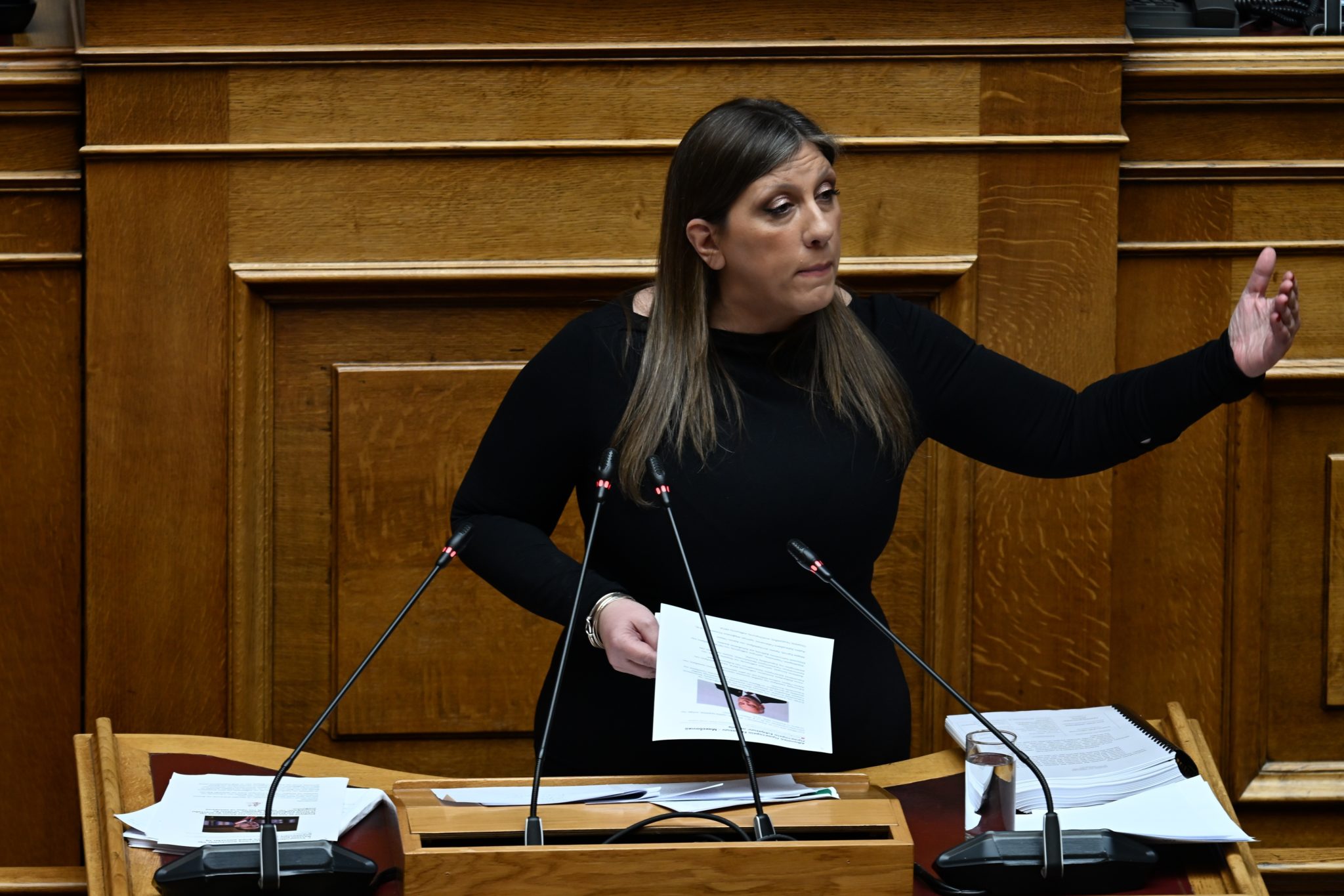 Ζωή Κωνσταντοπούλου, Βουλή