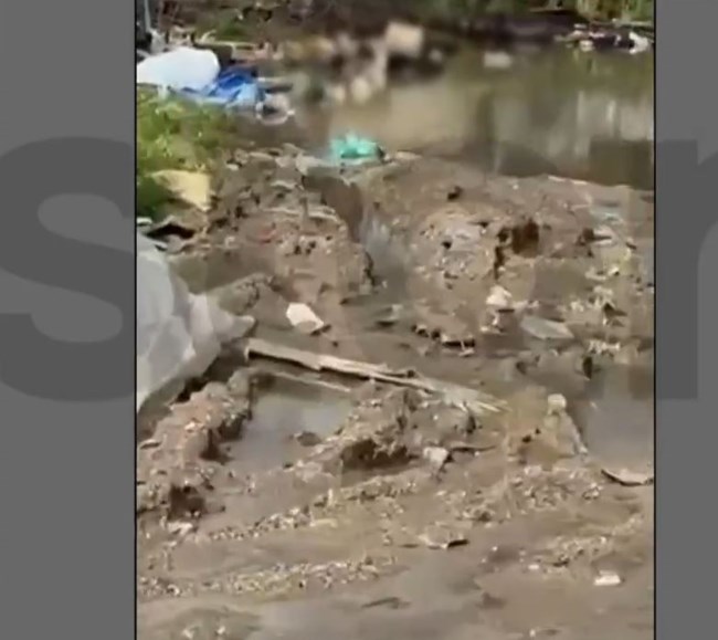 ΡΕΜΑ ΜΕΝΙΔΙ