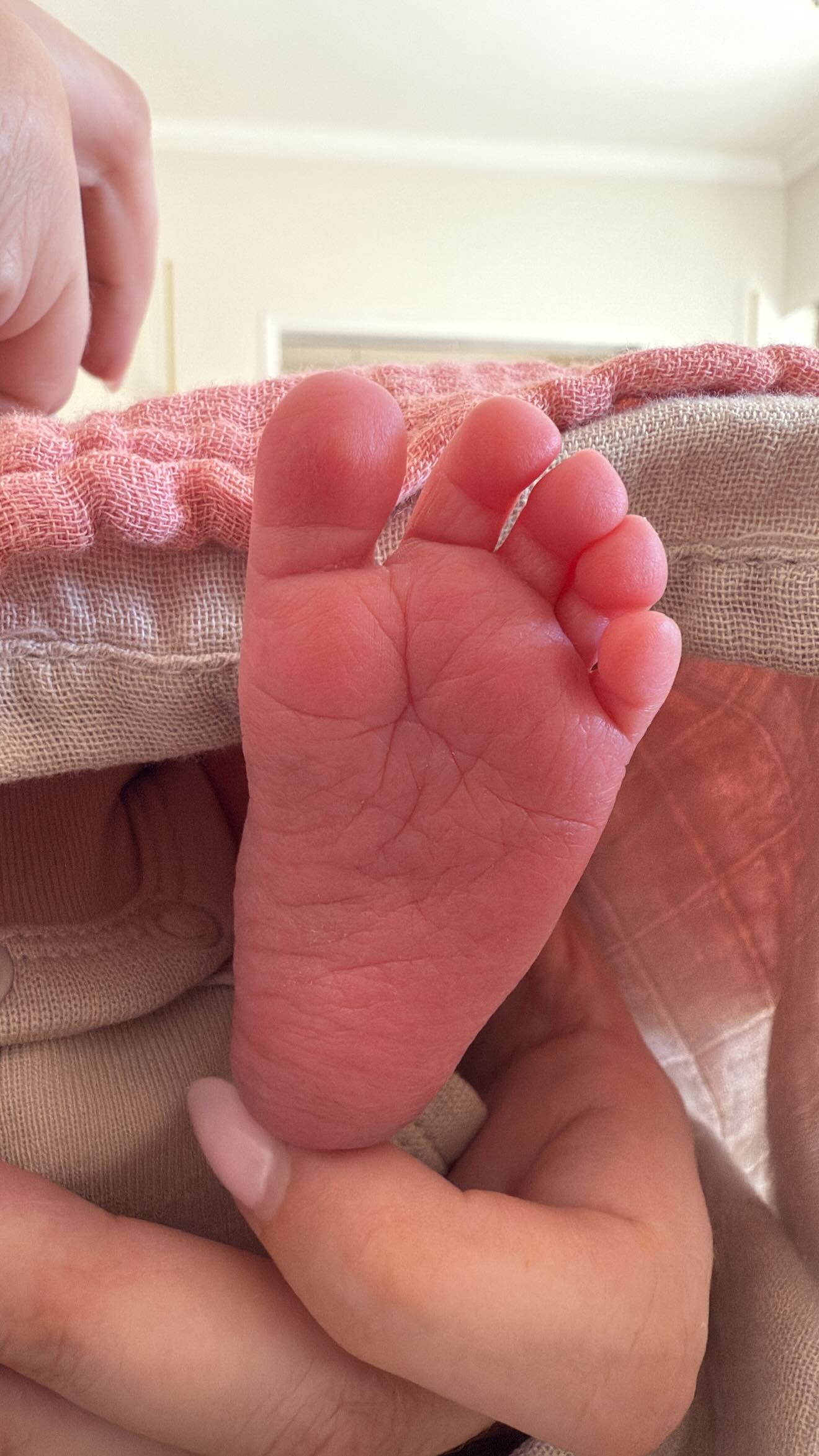 Κατερίνα Καινούργιου Παναγιώτης Κουτσουμπής