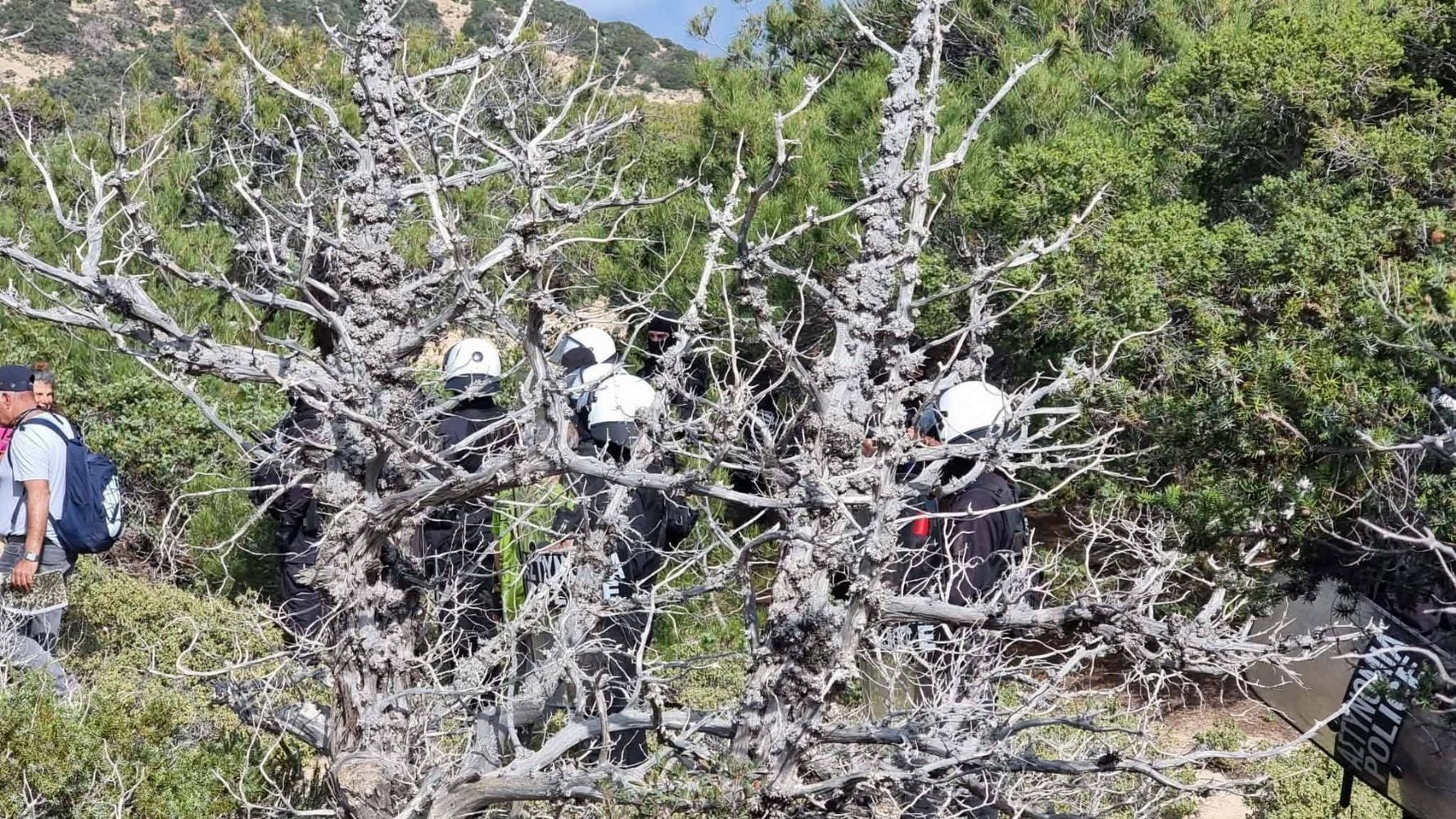 Γαύδος: Με διμοιρίες ΜΑΤ η επιχείρηση κατεδάφισης ξύλινων κατασκευών στις παραλίες – ΦΩΤΟ και ΒΙΝΤΕΟ