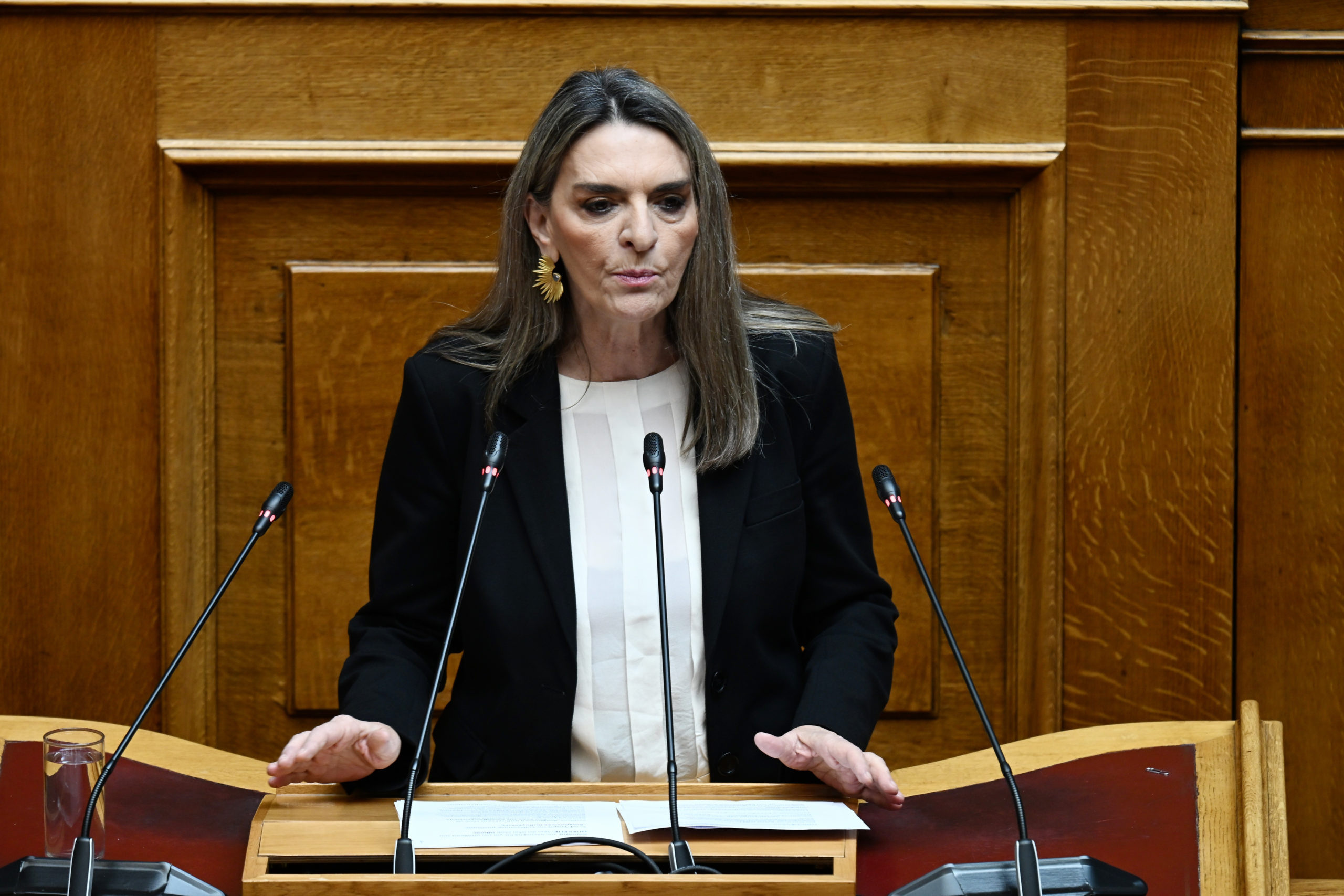 Βουλή: Τα συλλυπητήρια Παπαθανάση για τον θάνατο του γιου της Θεανώς Φωτίου – Πέτη Πέρκα: «Είναι μία τραγική ημέρα για όλους εμάς»