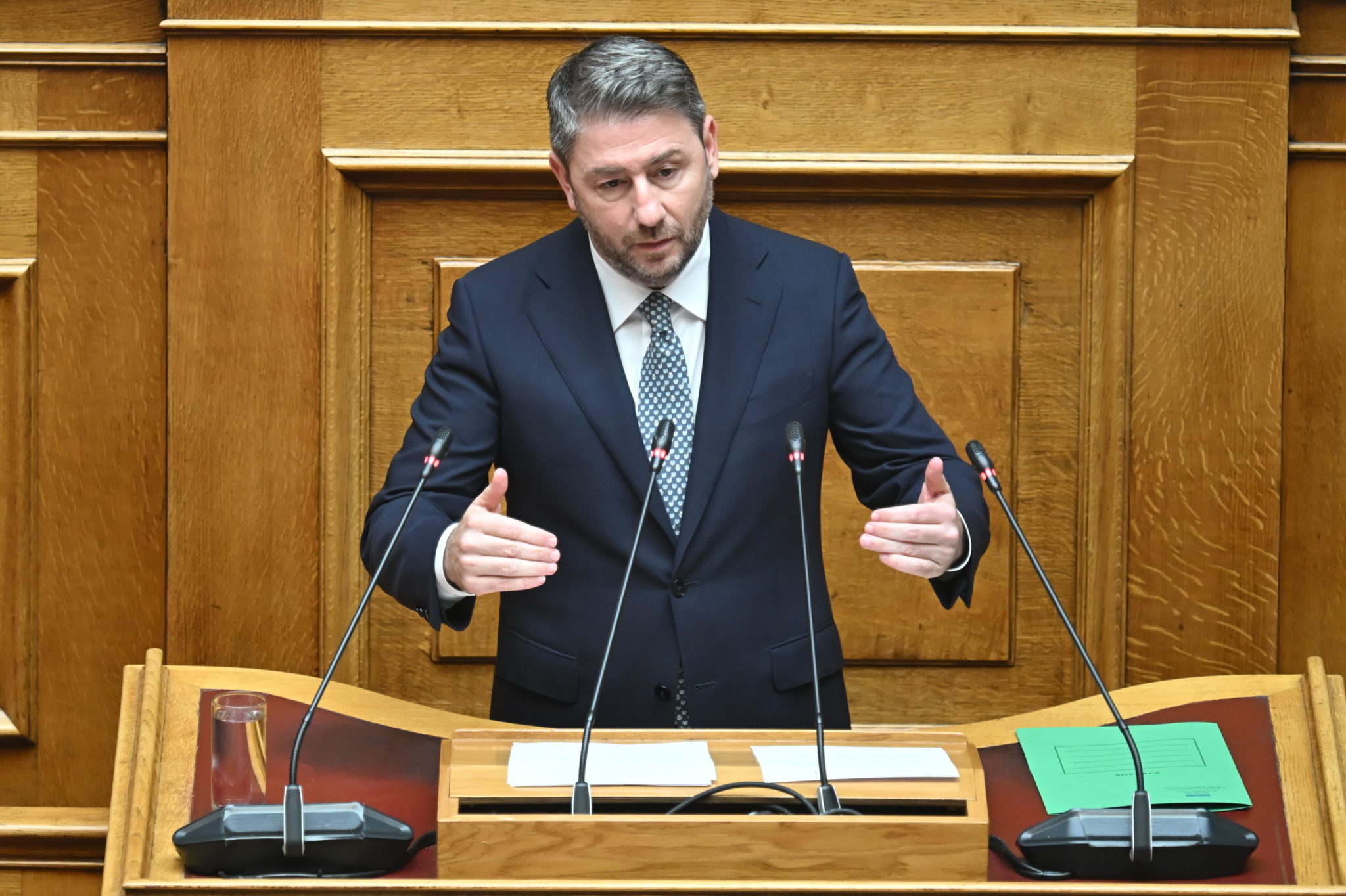 Νίκος Ανδρουλάκης