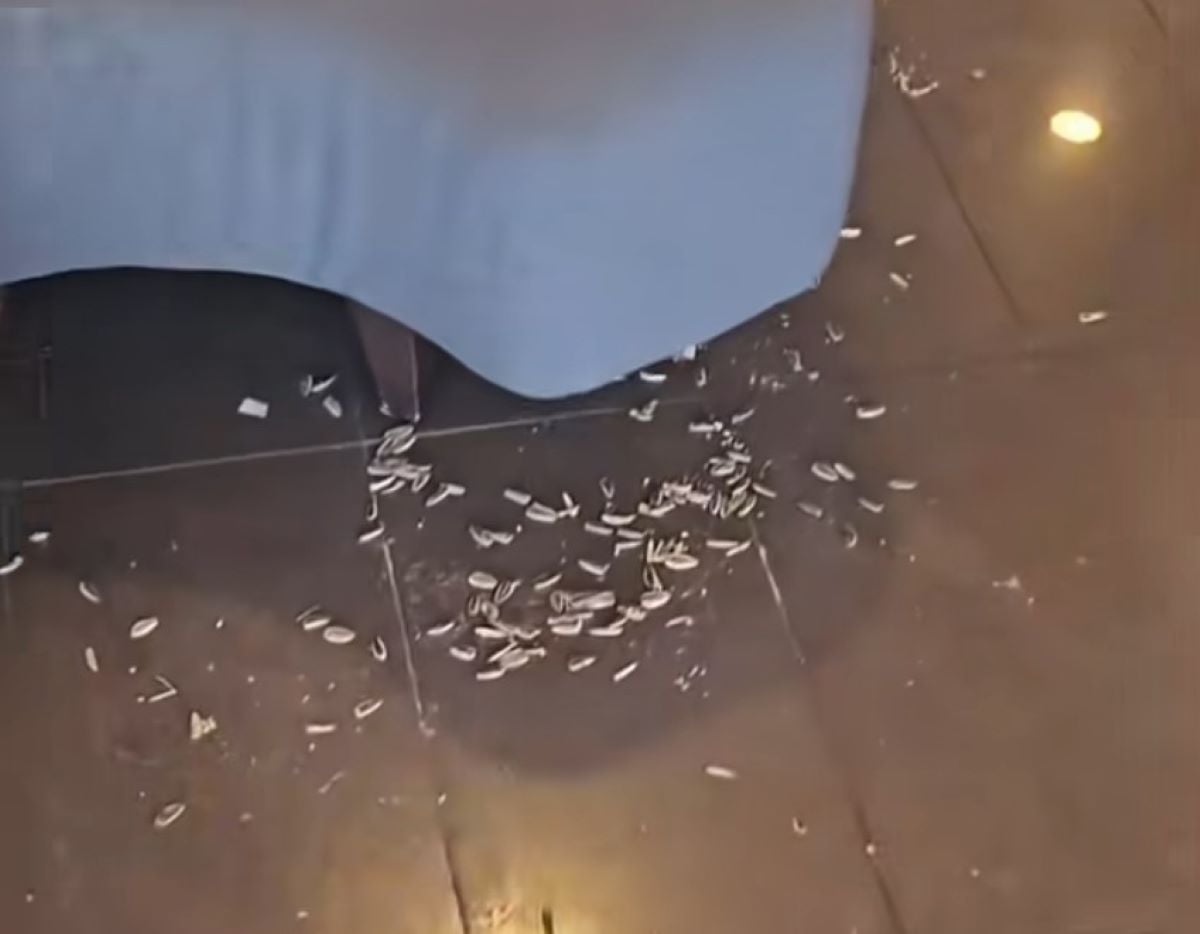 «Νήσος Σάμος»: Εικόνες ντροπής με σκουπίδια πεταμένα μετά το περιστατικό με το τσιγάρο – ΒΙΝΤΕΟ