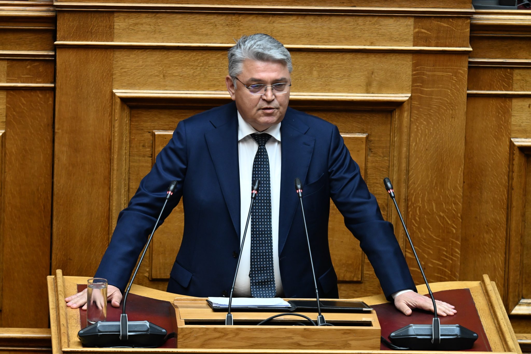 Δημήτρης Νάτσιος, Βουλή