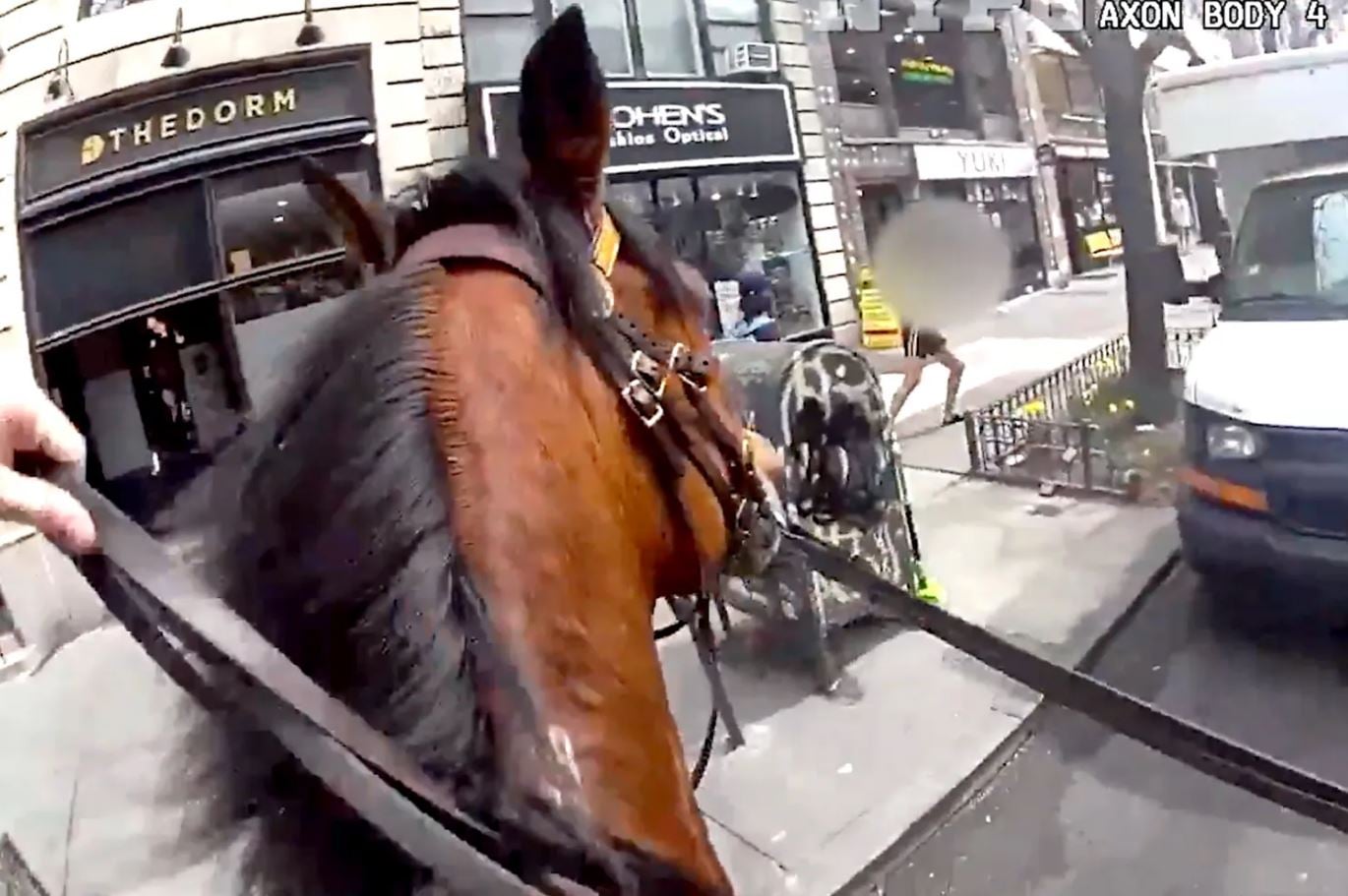 Σκηνές από ταινία στους δρόμους της Νέας Υόρκης: Έφιππος αστυνομικός καταδιώκει γυναίκα που έκλεψε τσάντα – Βίντεο