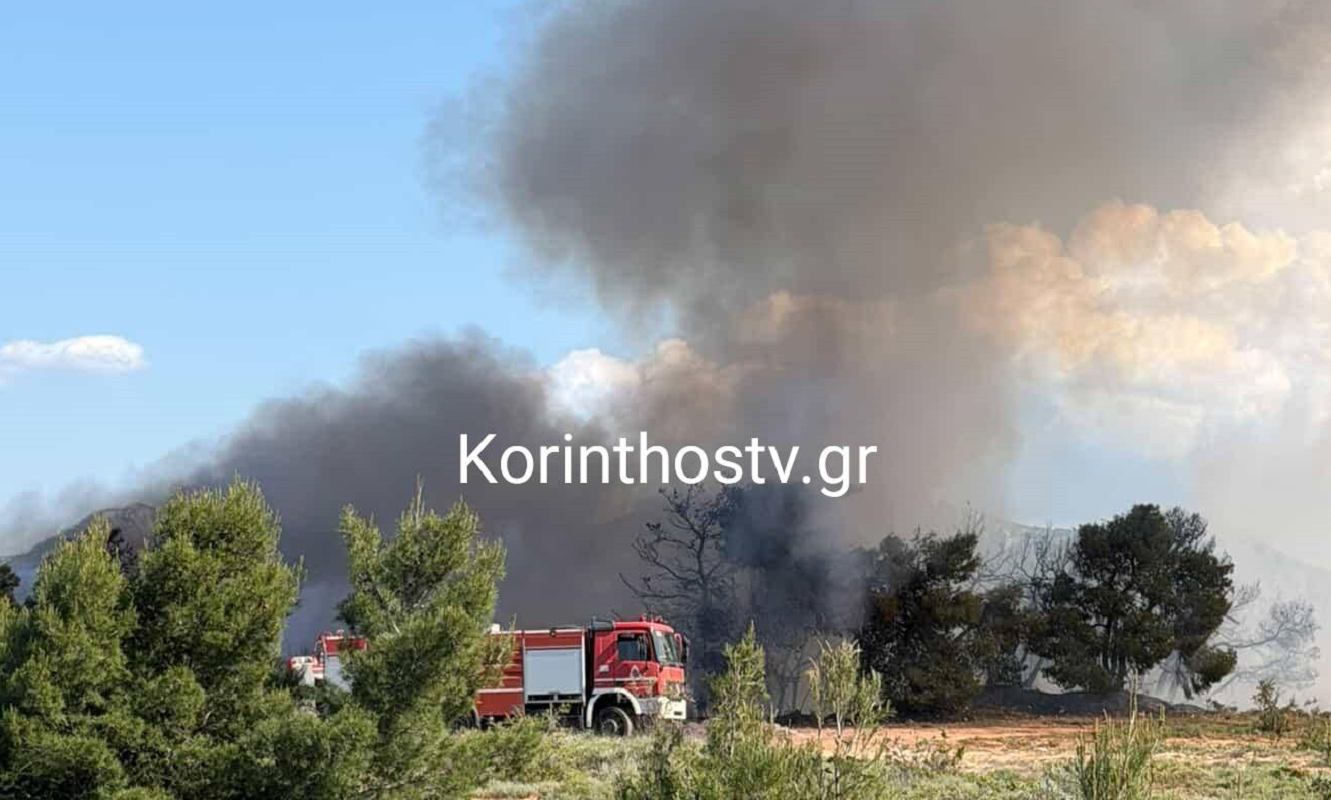 Κορινθία: Μεγάλη φωτιά σε δασική έκταση στο Ζευγολατιό – Βίντεο