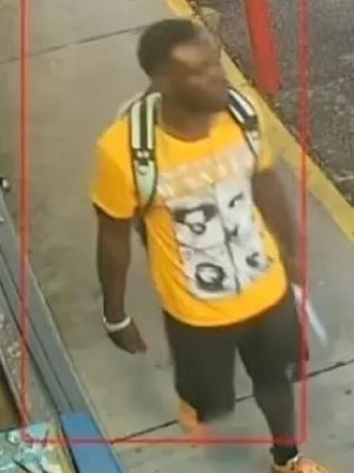 Πλάνα από κάμερες ασφαλείας φαίνεται να δείχνουν τον Joachim να σπάει το παρμπρίζ του αυτοκινήτου της γυναίκας, να την πλησιάζει και να τη χτυπά επανειλημμένα στο κεφάλι με σφυρί.Αστυνομικό Τμήμα Fort Myers