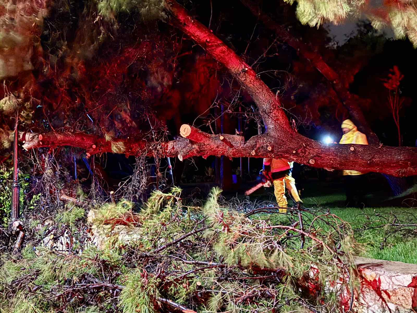 κακοκαιρία, «Erminio», Βάρη, Βούλα, Βουλιαγμένη, πτώσεις δέντρων