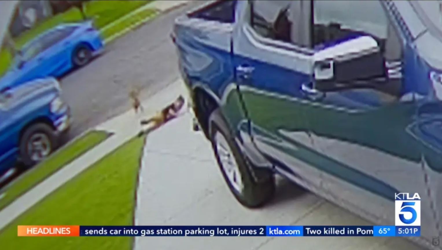 Βίντεο: Κογιότ επιτίθεται σε 4χρονο παιδί στην είσοδο του σπιτιού του