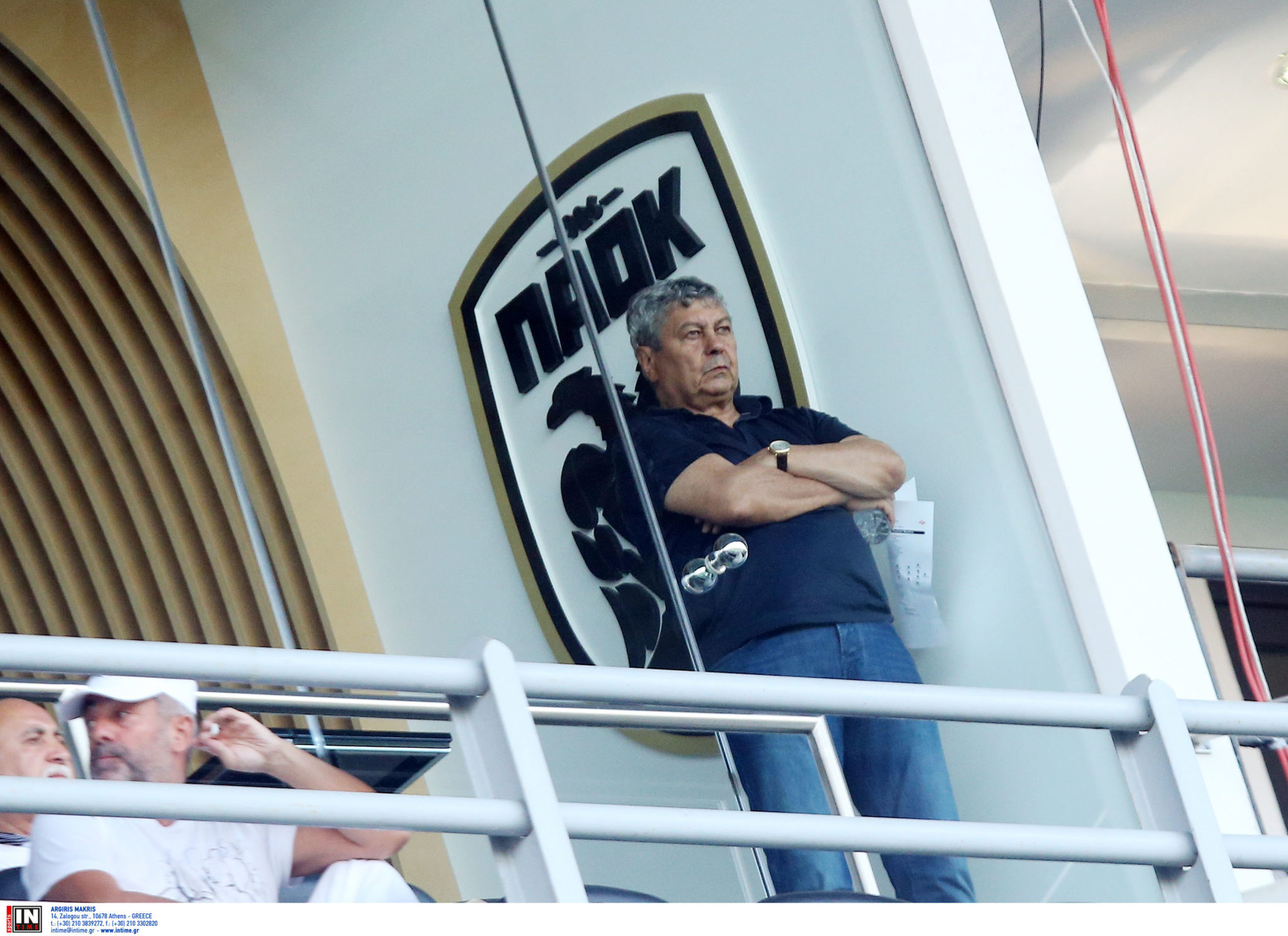 Μιρτσέα Λουτσέσκου