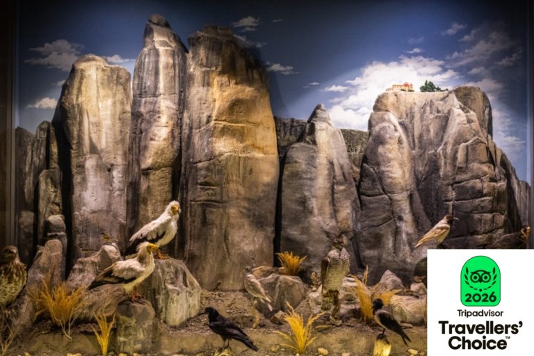 ΜΟΥΣΕΙΟ ΦΥΣΙΚΗΣ ΙΣΤΟΡΙΑΣ ΜΕΤΕΩΡΩΝ ΚΑΙ ΜΟΥΣΕΙΟ ΜΑΝΙΤΑΡΙΩΝ