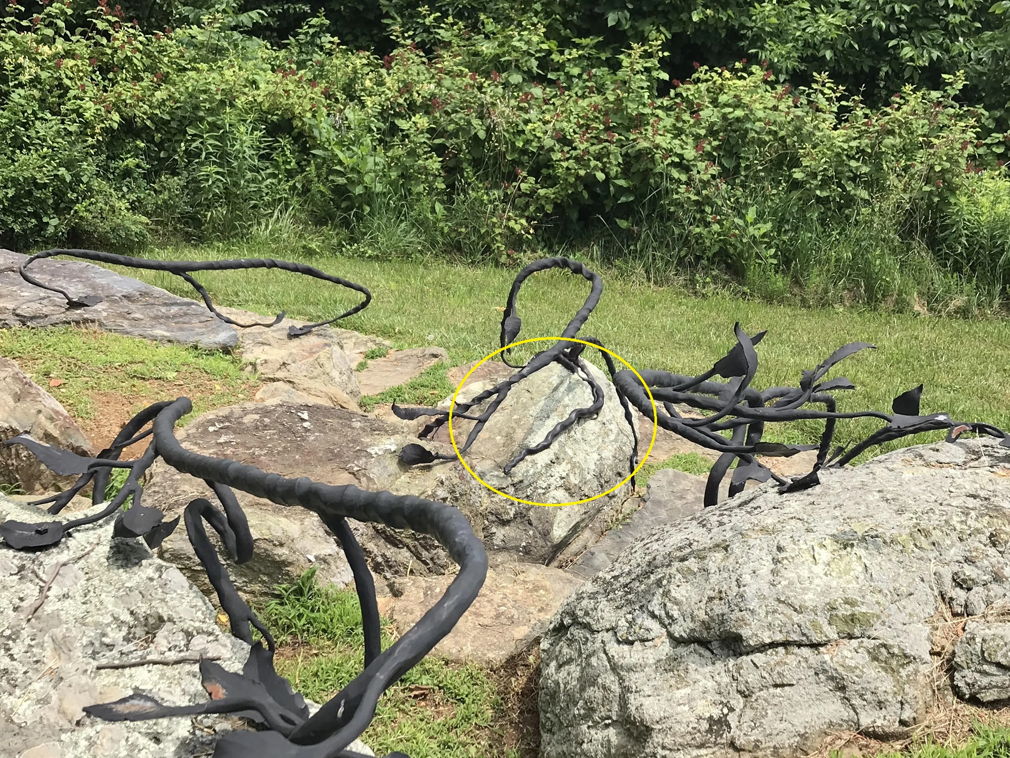 Οπτική ψευδαίσθηση, φίδι