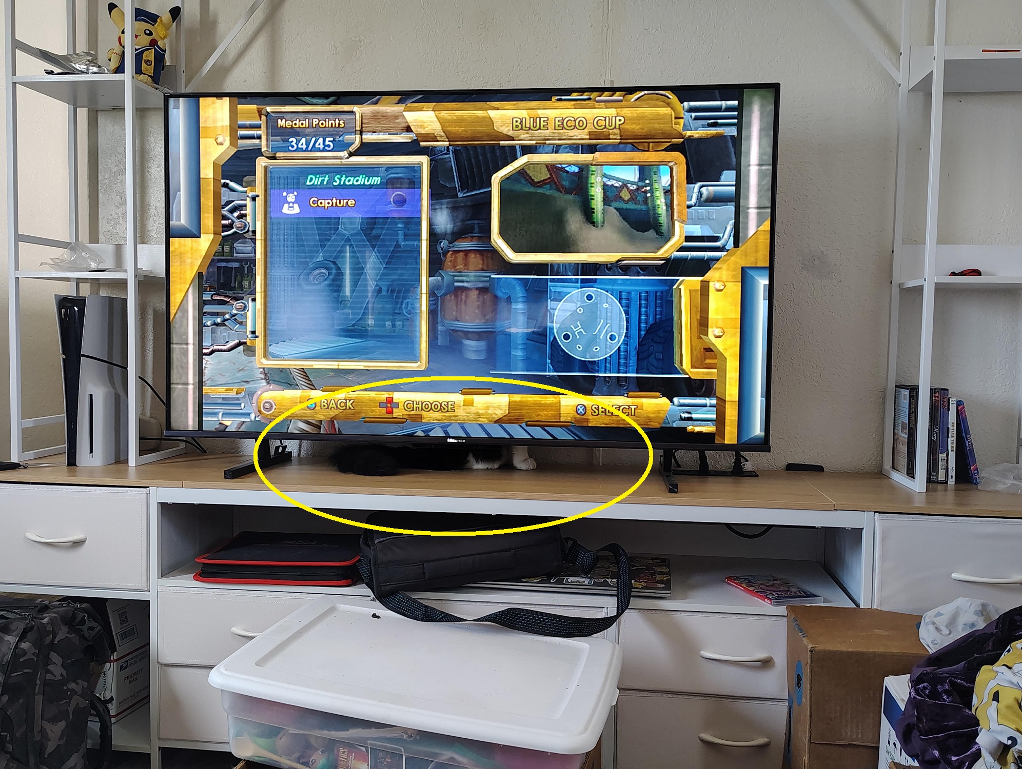 Οπτική ψευδαίσθηση, γάτα