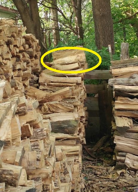 Οπτική ψευδαίσθηση, γάτα