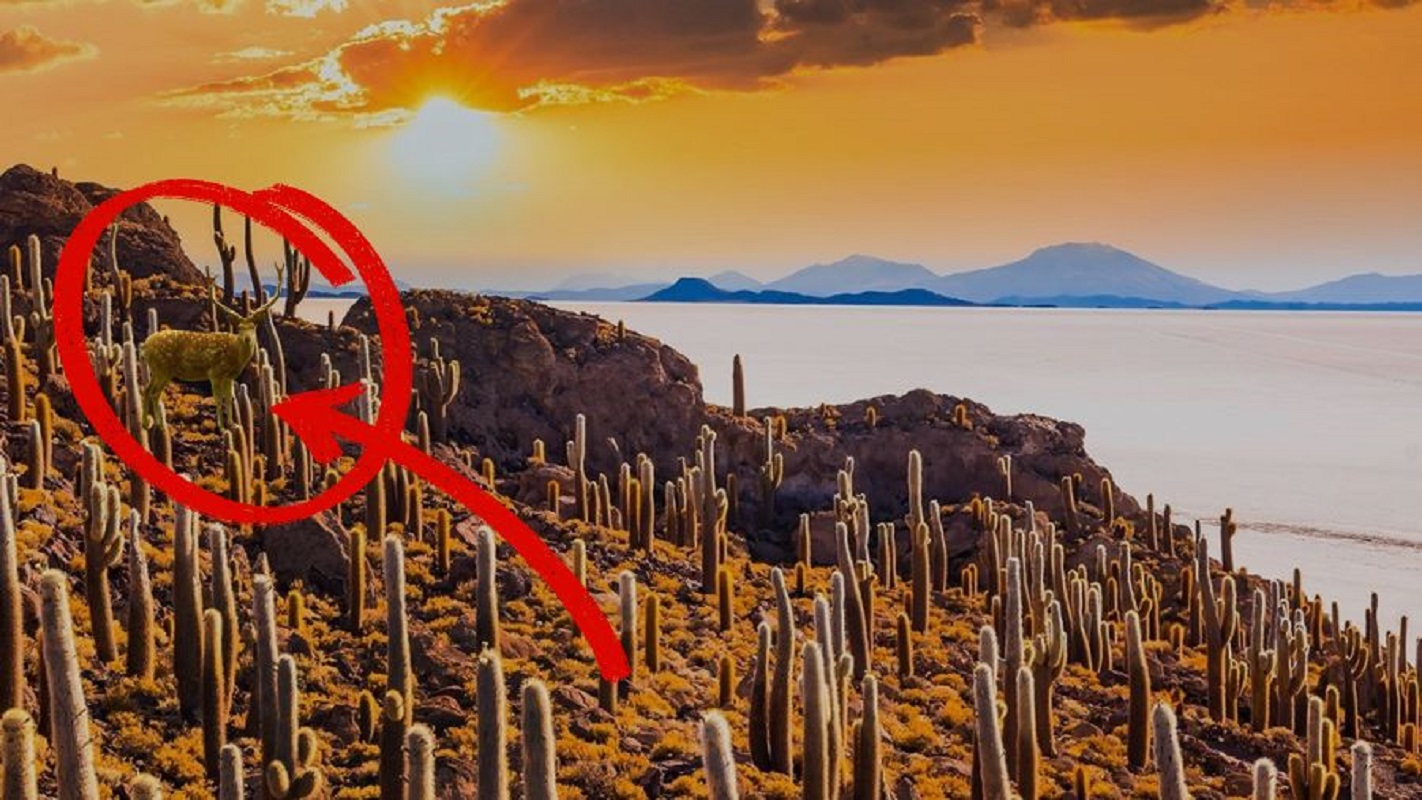 Οπτική ψευδαίσθηση