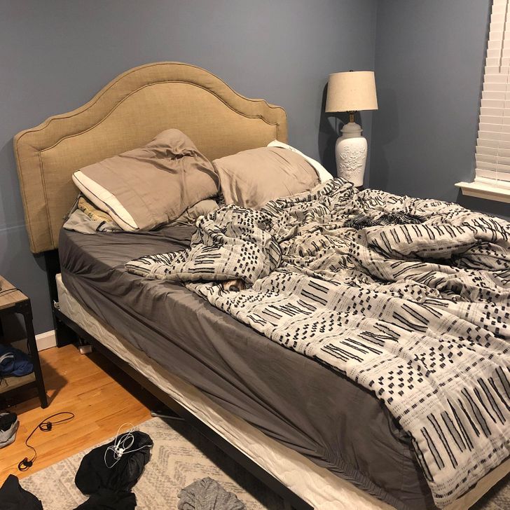 Οπτική ψευδαίσθηση, σκύλος