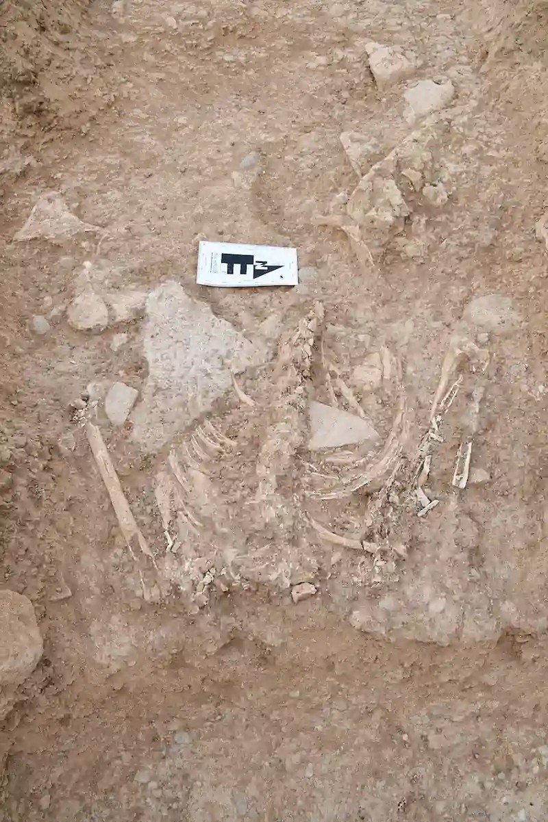 Σκελετός ατόμου στον Τομέα 3. Πηγή: T. Harrison κ.ά. 2026