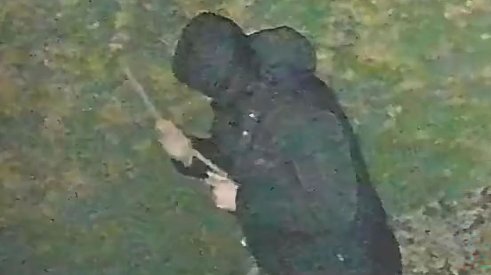 Φωτογραφία: Ο Τζον Άσμπι κρατά ένα ξύλο. West Midlands Police