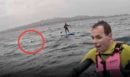 Καλιφόρνια: Καρχαρίας 3,5 μέτρων καταδίωκε σέρφερ για 10 λεπτά - Βίντεο που κόβει την ανάσα