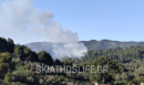 Φωτιά σε δασική έκταση στην Σκιάθο