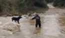 Χαλκιδική: Επιχείρηση διάσωσης δύο τσοπανόσκυλων που εγκλωβίστηκαν σε ποταμό - ΒΙΝΤΕΟ