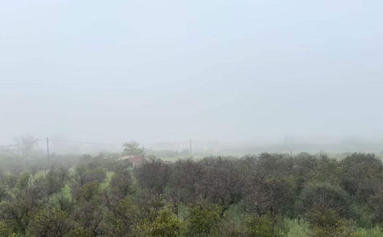 Σπάρτη: «Εξαφανίστηκε» ο Ταύγετος λόγω της πυκνής ομίχλης – Δείτε το βίντεο