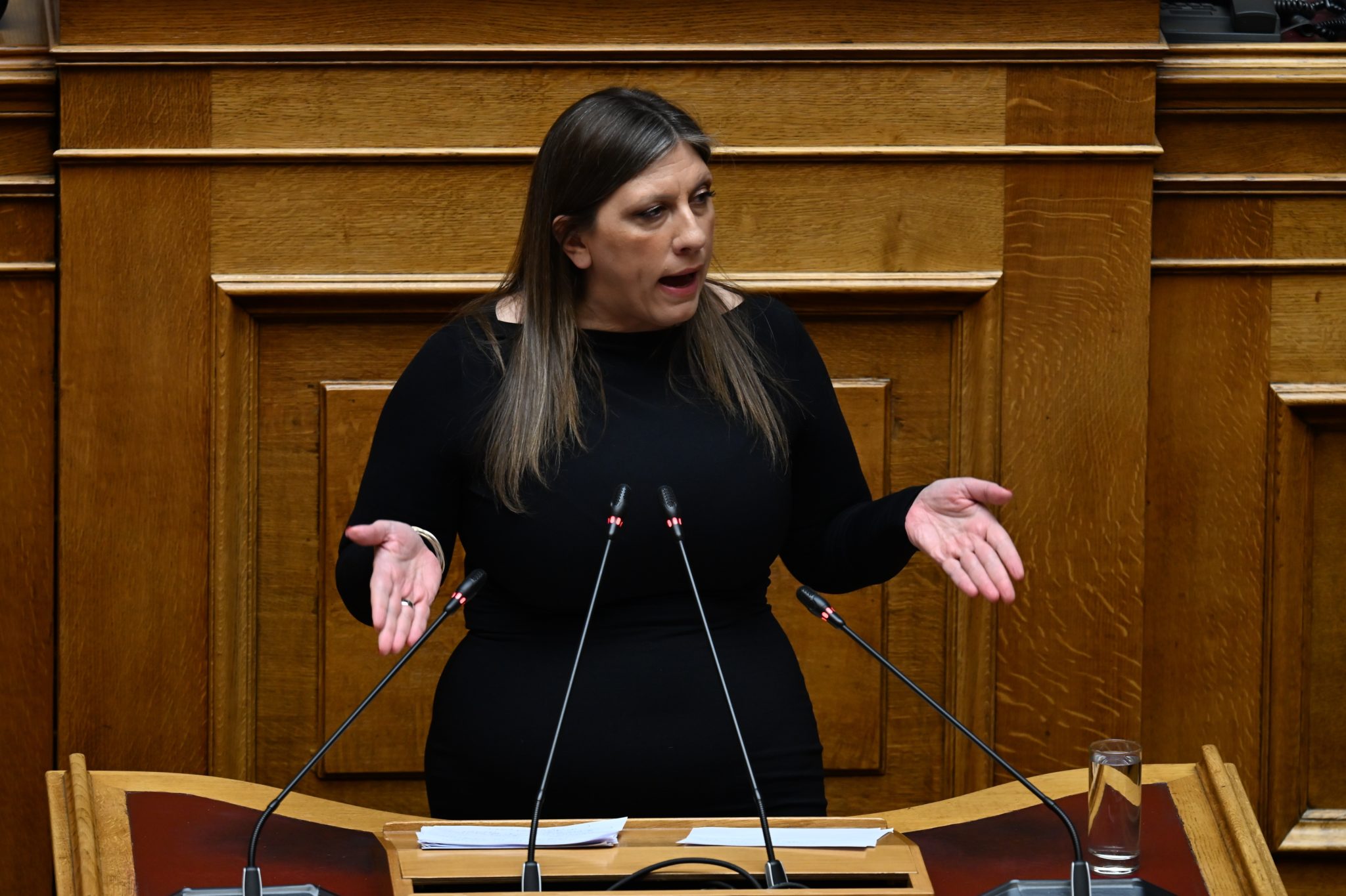 Ζωή Κωνσταντοπούλου, Βουλή