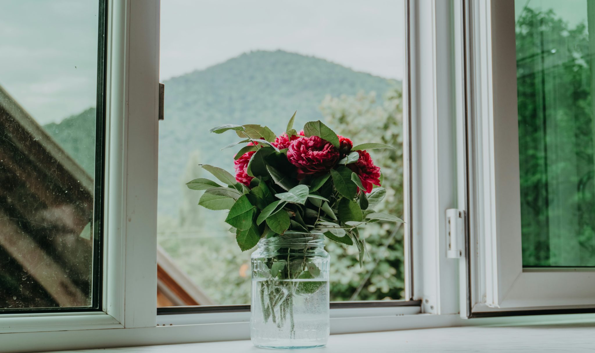 Έντομα στο σπίτι: Πώς να τα κρατήσετε μακριά τοποθετώντας ένα αντικείμενο στο περβάζι του παραθύρου