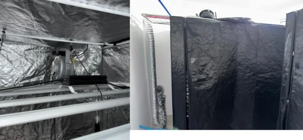 υρήματα Ελληνικής Αστυνομίας, Εγκληματική οργάνωση