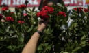 Εργατική Πρωτομαγιά: Πώς καθιερώθηκε ο ιστορικός εορτασμός – Ο «Ματωμένος Μάης» στο Σικάγο