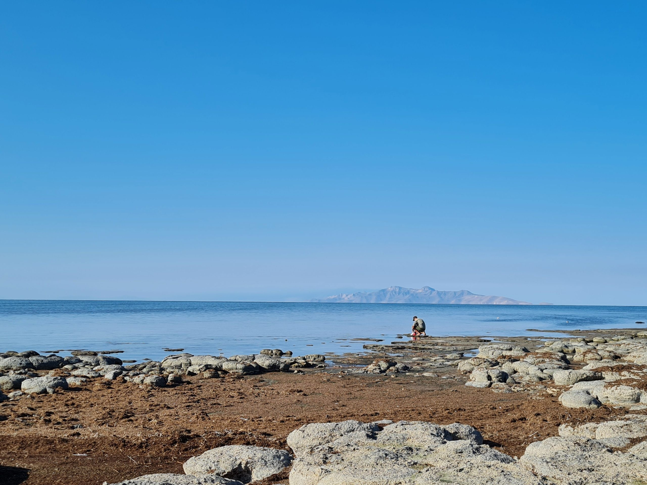 Ερευνητές συνέλεξαν δείγματα νηματωδών στη Μεγάλη Αλμυρή Λίμνη της Γιούτα. Φωτογραφία: Julie Jung
