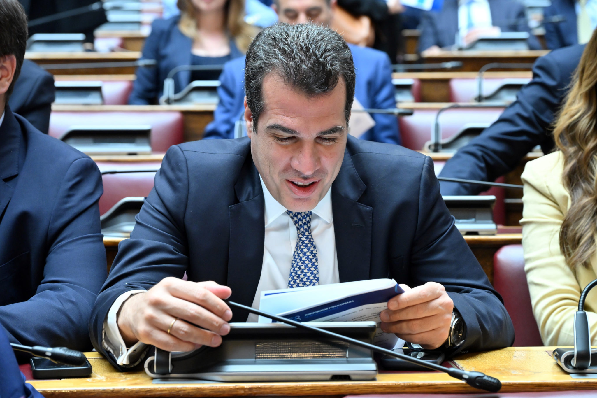 Πλεύρης