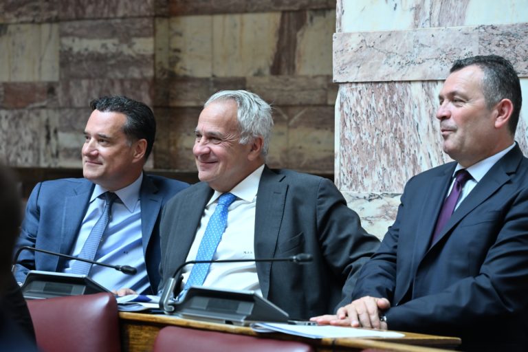 Γεωργιάδης Βορίδης