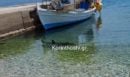 Κορινθία: Καρχαρίας κολυμπάει στα ρηχά στα Λουτρά Ωραίας Ελένης