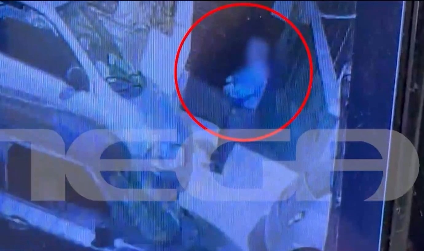 Ηράκλειο, Κρήτη, γατάκι, αντιδήμαρχος