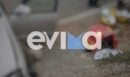 Ερέτρια: Πέθανε ο 72χρονος που τραυματίστηκε σοβαρά σε τροχαίο