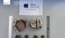 Λέσβος: Συνελήφθησαν στο αεροδρόμιο δύο Ολλανδοί με απολιθώματα από το Απολιθωμένο Δάσος