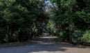 Συνελήφθη 52χρονος για φωτιά στο πάρκο της Ακαδημίας Πλάτωνος - Του επιβλήθηκε διοικητικό πρόστιμο 1.718,16 ευρώ