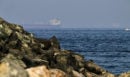 Σαουδική Αραβία: Έκκληση για αυτοσυγκράτηση μετά τις εντάσεις στα Στενά του Ορμούζ