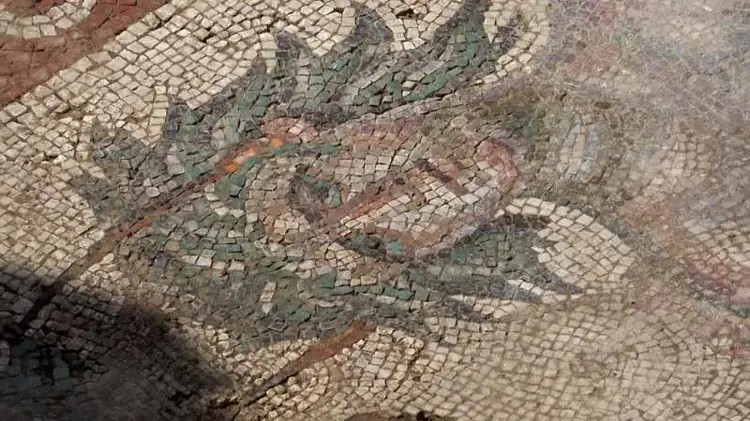 Φωτογραφία: DHA